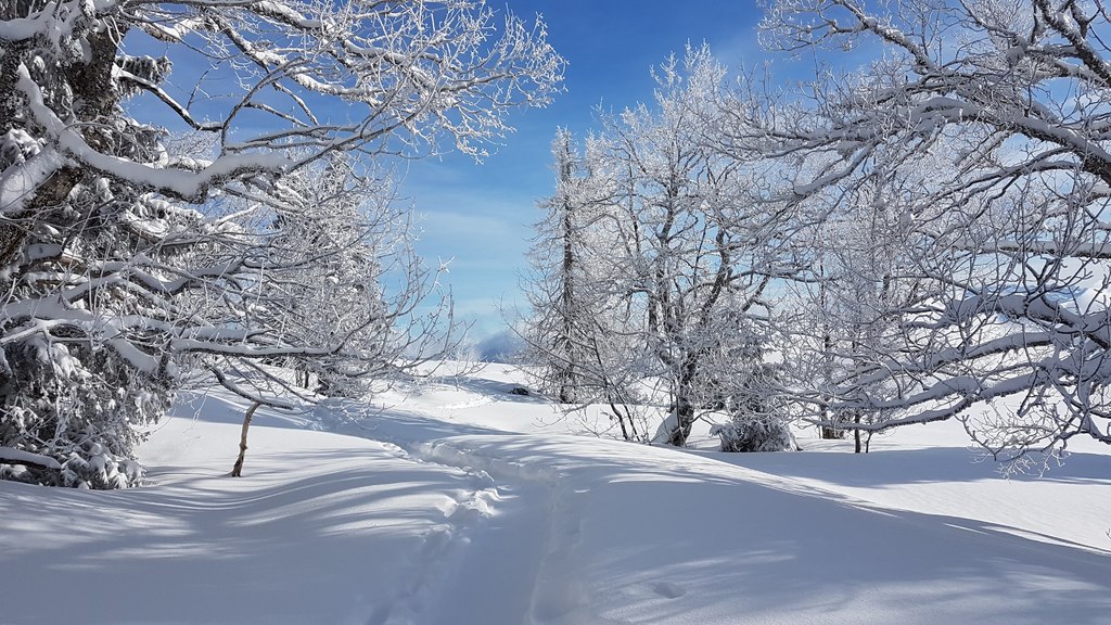 Pré-inscription aux séjours raquettes 2026