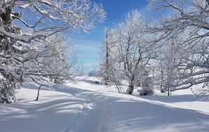 Pré-inscription aux séjours raquettes 2026