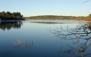 Aix-en-Provence : Arbois-Lac du Réaltor  Michel Rondet